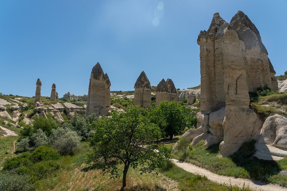 Peribacalarının ve yanlarındaki bir ağacın g&ouml;r&uuml;nd&uuml;ğ&uuml; kırmızımsı bir vadi